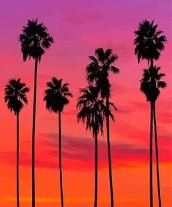 California Pink Sunset Paint By Numbers