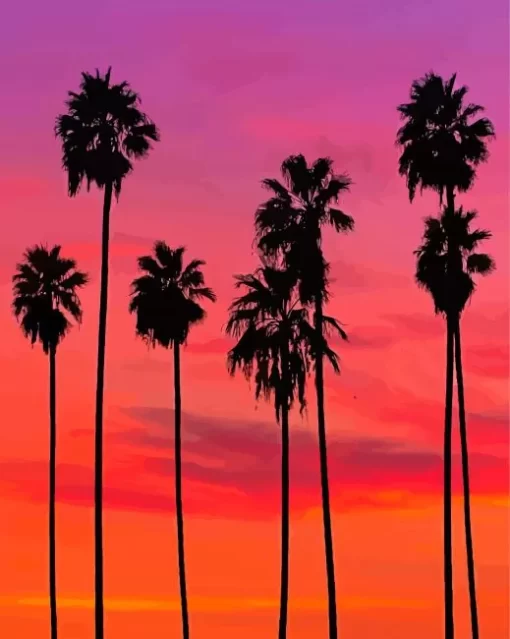 California Pink Sunset Paint By Numbers