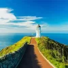 Cape Reinga Paint By Numbers