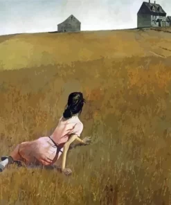 Christina Andrew Wyeth Paint By Numbers