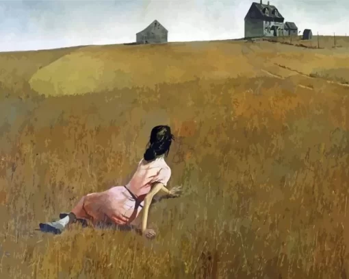 Christina Andrew Wyeth Paint By Numbers