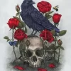 Crow And Skull With Red Roses Paint By Numbers