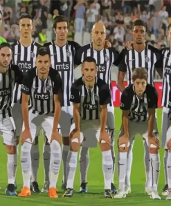 FK Partizan Football Club Players Paint By Numbers