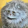 Fat Long Hair Grey Cat Paint By Numbers