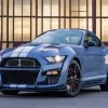 Ford Shelby Gt Paint By Numbers