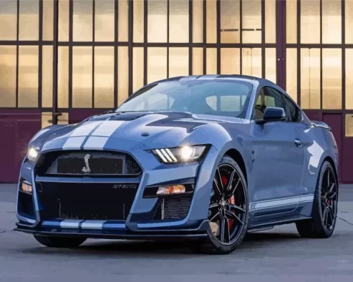 Ford Shelby Gt Paint By Numbers