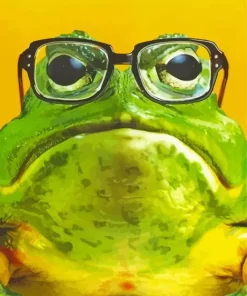 Frog In Glasses Paint By Numbers