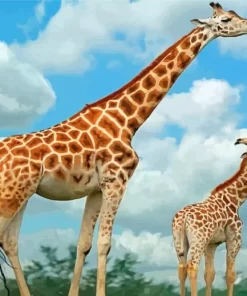 Giraffe Mom And Daughter Paint By Numbers