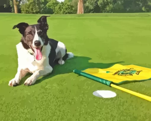 Golf land dog paint by numbers