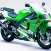 Green Ninja ZX 7R Paint By Numbers