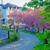 Hexham Streets Paint By Numbers