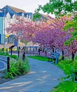 Hexham Streets Paint By Numbers