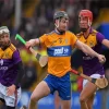 Hurling Team Paint By Numbers