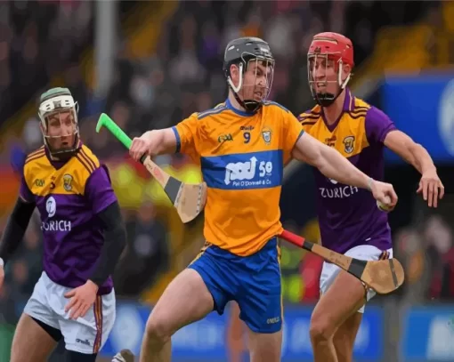 Hurling Team Paint By Numbers