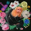 Capuchin Monkey And Flowers Paint By Numbers