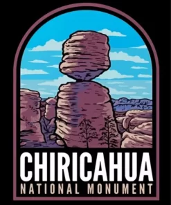 Chiricahua Paint By Numbers