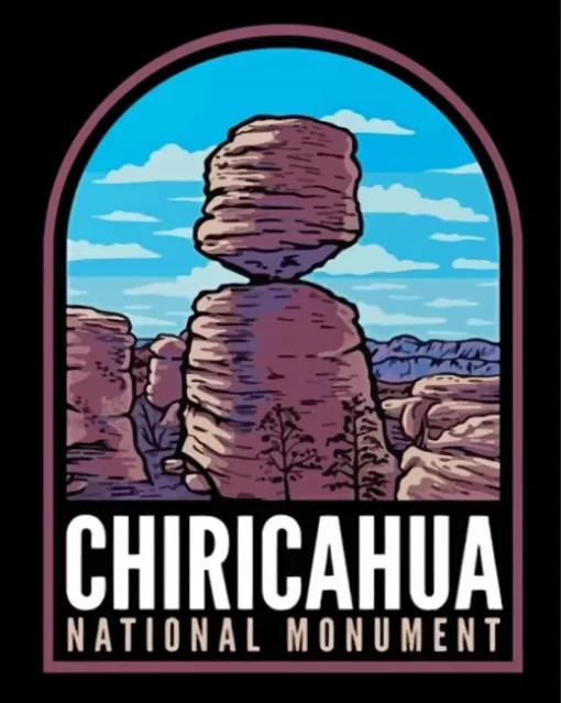 Chiricahua Paint By Numbers