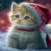 Christmas Cat Paint By Numbers