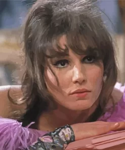 Gorgeous Paula Prentiss Paint By Numbers