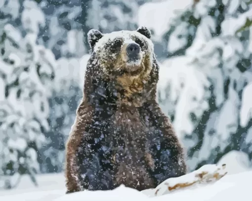 Grizzly Bear Animal In Snow Paint By Numbers