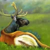 Resting Deer Paint By Numbers