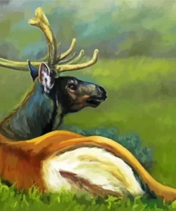 Resting Deer Paint By Numbers