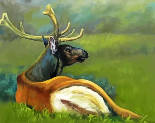 Resting Deer Paint By Numbers