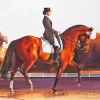 Dressage Horse Show Paint By Numbers