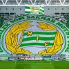 Hammarby Fotboll Paint By Numbers