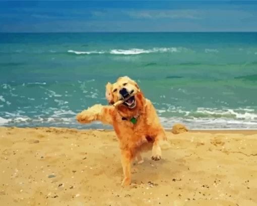 Happy Dog In The Beach Paint By Numbers