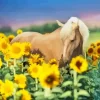 Horse In Sunflowers Field Paint By Numbers