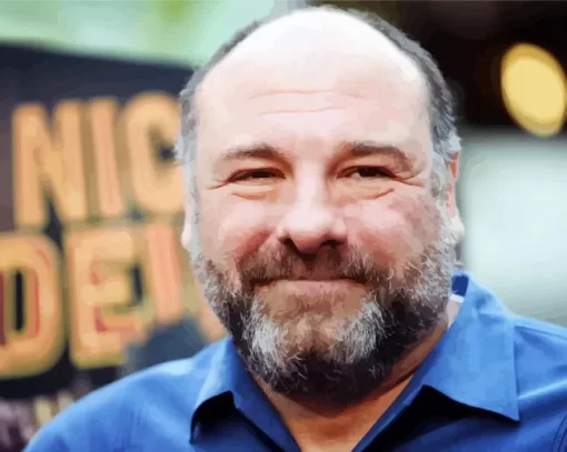 James Gandolfini Face Paint By Numbers