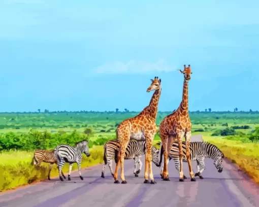 Kruger National Park Paint By Numbers