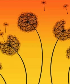 Sunset Dandelions Silhouette Paint By Numbers