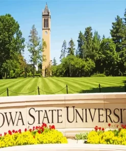 Iowa State University Paint By Numbers