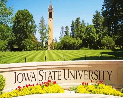 Iowa State University Paint By Numbers