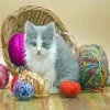 Kitten With Yarns Paint By Numbers