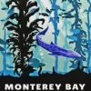 Monterey Bay Aquarium Poster Paint By Numbers