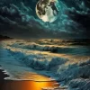 Moon Light On The Beach Paint By Numbers