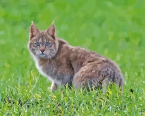 Mountain Cat Paint By Numbers