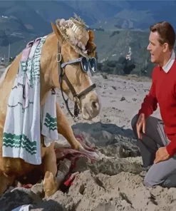 Mr Ed Scene Paint By Numbers