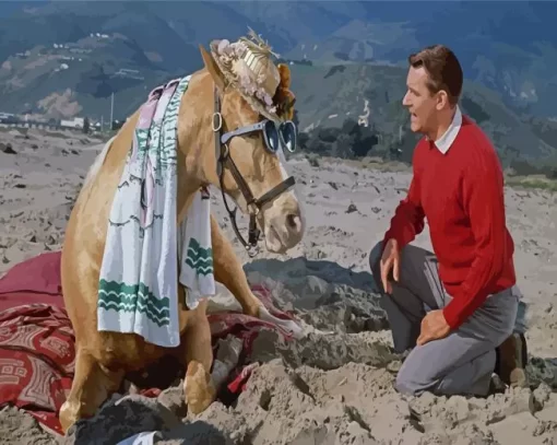 Mr Ed Scene Paint By Numbers