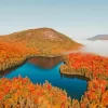 New Hampshire Fall Foliage Paint By Numbers