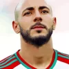 Nordin Amrabat Paint By Numbers