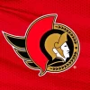 Ottawa Senators Logo Paint By Numbers