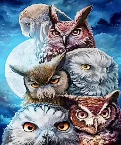 Owls Moon Paint By Numbers