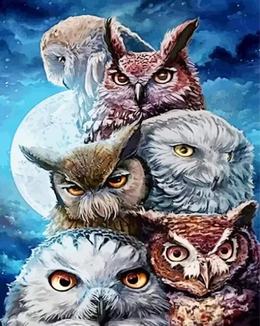 Owls Moon Paint By Numbers