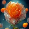 Orange Frozen Rose Paint By Numbers