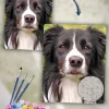 Painting By Numbers Custom​ Pets