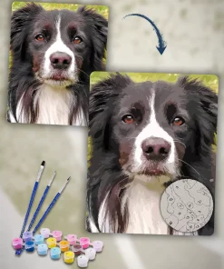 Painting By Numbers Custom​ Pets